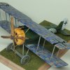 Pfalz D.VIII